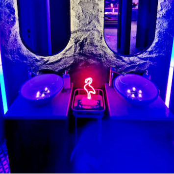 Neon Flamingo