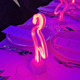 Neon Flamingo