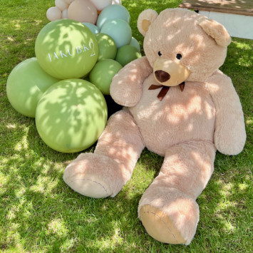 Teddy Bear