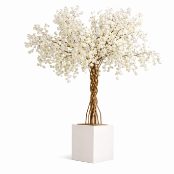 Cherry tree