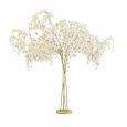 Cherry tree 170cm