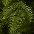 Christmas tree - 3D luxury fir tree 180cm