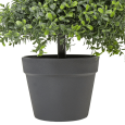 Artificial boxwood, spiral