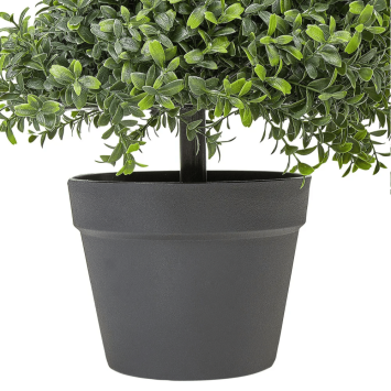 Umelý buxus, špirála