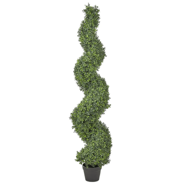 Umelý buxus, špirála