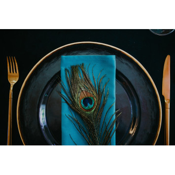 Teal napkin