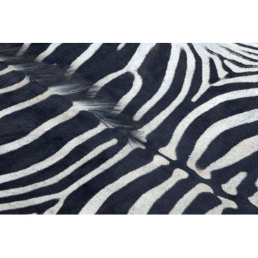 Koberec - imitácia zebra