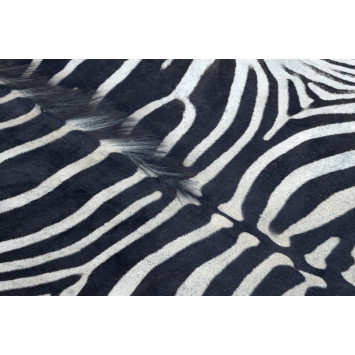 Rug – zebra print