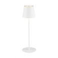 White LED lamp