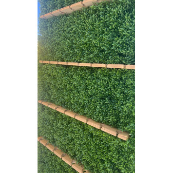 Green welcome drink wall
