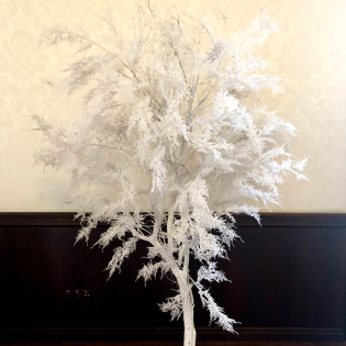 Strom s bielymi halúzkami